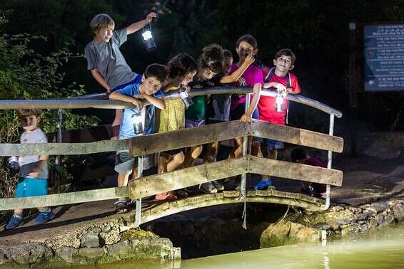 סיור עששיות בירדן // צילום: עמיר בוכניק